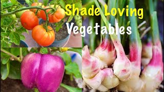 Top 10 Shade Loving Vegetables  Vegetables To Grow In Shady Area [upl. by Greysun]