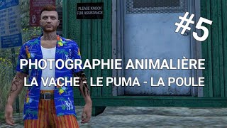 GTA ONLINE 5 PHOTOGRAPHIE ANIMALIÈRE LA VACHE  LE PUMA  LA POULE [upl. by Sclater]