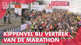 Het heet niet voor niets DE MOOISTE  Zo BEGON de NN Marathon Rotterdam 2023 [upl. by Mich]