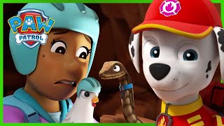 Pups Save a Trophy  PAW Patrol Episode  Cartoons for Kids [upl. by Dnyletak]