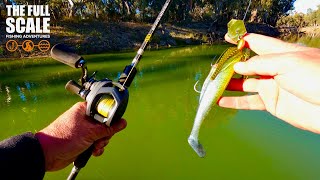 Chatterbait Fishing For Murray Cod  The Full Scale [upl. by Cristy]