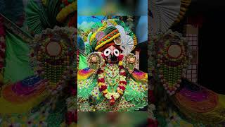 Mo jaga Kaliare 🥰🙏💫💚viralvideo ytshortsvideo tranding whatsappstatus 2024subscribe jagannath [upl. by Hanoy]