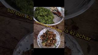 Sarson Ka saag recipe ro Amla Ka achar new minivlog [upl. by Valora]