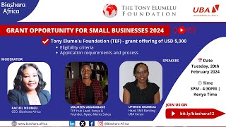 GRANT OPPORTUNITY FOR SMALL BUSINESSES 2024 THE TONY ELUMELU FOUNDATION TEF GRANT USD 5000 [upl. by Hairakcaz601]