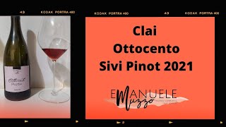 Degustazione Clai Ottocento Sivi Pinot 2021 [upl. by Arramahs]