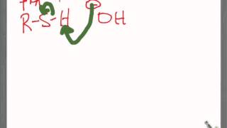 Reactivity of Thiols [upl. by Ymarej]