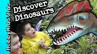 Discover the Dinosaurs Exhibit Animatronics wHobbyFamily  Rides HobbyKidsVids [upl. by Ahsiakal]