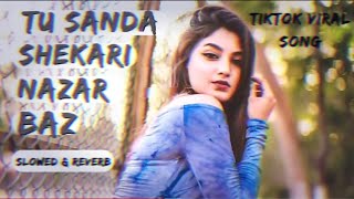 Tu Shsnda Shikari Nazar Baz Tik tok Viral SongTrending Rony SongSlowed amp ReverbRony hossain1 [upl. by Selegna]