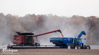 CaseIH 7240 and New Holland TG285 harvest soybeans in Michigan [upl. by Godbeare394]