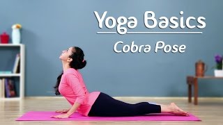 Cobra Pose – Step By Step  Bhujangasana  Yoga For Beginners  Yoga With AJ [upl. by Arannahs]