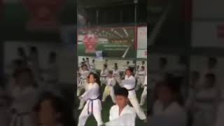 Michael Muleta Nepal ITF Taekwondo Seminar with over 200 participants [upl. by Einnhoj]