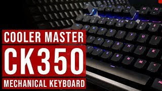 Keyboard Cooler Master Paling Murah  Review Cooler Master CK350 [upl. by Sharlene]