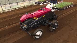 YANMAR  VEGETABLE TRANSPLANTER PH1A [upl. by Gawain943]