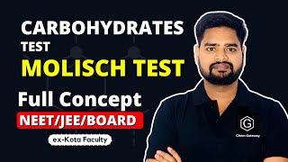 Test for Carbohydrates Molisch Test IIT JEE  NEET BOARDS chemgateway jee2024 [upl. by Ettenim]