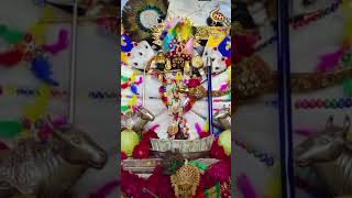 sanwariyasethnewbhajan2024 song love sanwariyasethbhajan live सावरिया [upl. by Gerardo]