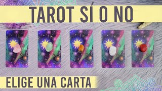 TAROT SÍ O NO  Pregunta lo que quieras a las cartas 🔮🍀 [upl. by Mima]