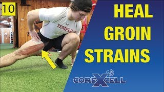 Groin Strain Adductor Magnus  One Day Fix Using this Unexpected Exercise  Ep10 [upl. by Anileuqcaj86]