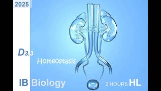 IB Bio 2025 D33 Homeostasis HL Note ib ibbiology homeostasis kidney biology [upl. by Ytsur]