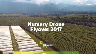 Citromax Tucumán Lemon Nursery Drone Flyover [upl. by Noyahs]