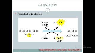 METABOLISME KATABOLISME [upl. by Boaten]