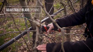 EN  FRUIT GROWING  Pruning shears F3020  POWERCOUP PW3  INFACO [upl. by Monaco585]