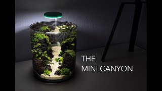 MINI CANYON in a 2L vase aquascape no filter no co2 fish tank shrimp vase [upl. by Lew]