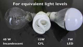 LED vs CFL vs Incandescent A19 Light Bulbs [upl. by Ibbor]