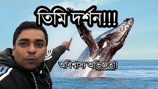 Whale Watching Shahed Alam II Vacation Travel ShahedAlamTravel [upl. by Urbano]