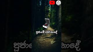 Kande Lande  Rohana Baddage  Lyrics  shorts [upl. by Ynnor175]