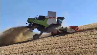 Claas TRION 540 con cressoni 720  Claas TUCANO 430 con cressoni 660 By Andrea Di Cillo [upl. by Aibos]