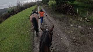 A Bridleway the takes you right through someones yard would you ride here bridleway horse [upl. by Primrose]