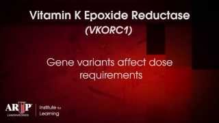 Spotlight on Testing Warfarin Pharmacogenetics [upl. by Marlon]