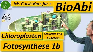 Fotosynthese 1b  Chloroplast funktionale Angepasstheiten  beschriftete Skizze  Bau und Funktion [upl. by Dori]