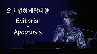 오피셜히게단디즘official髭男dism  Editorial  Apoptosis LIVE [upl. by Fifine692]