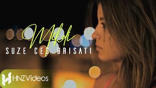 Mehdi  Suze ces brisati Official Video [upl. by Wilmar657]