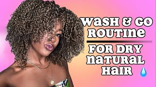 Wash amp Go for dry natural hair💧washandgo type4naturalhair washandgoroutine naturalhaircaretips [upl. by Carolynn]