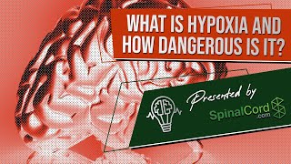 Hypoxia Definition Causes Symptoms and Treatment What is hypoxia and how dangerous is it [upl. by Rothstein]