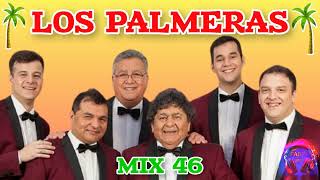 los palmeras megamix de exitos [upl. by Aracot809]