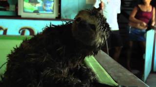 BIG RIVER MAN  DELETED SCENE  SLOTH RESCUED FROM DIVE BAR [upl. by Bilac]