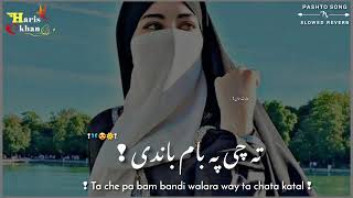 ta che pa baam bandi walara way ta chata katal pashto song slowed  reverb tiktok viral song [upl. by Eibbed]