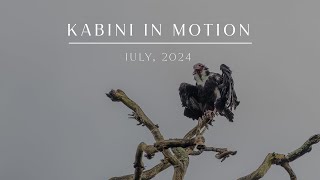 Kabini in Motion  July 2024  Evolve Back Kuruba Safari Lodge [upl. by Nosaes]