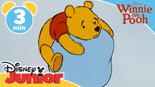 The Mini Adventures of Winnie the Pooh  Poohs Balloon  Disney Junior UK [upl. by Leda]