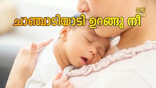 Chaanjadi Aadi Urangu Nee Lyrics  Cover Swetha Ashok love mom [upl. by Jelle119]