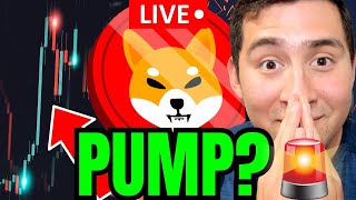 SHIBA INU COIN PREDICTION LIVE NEWS🔴Crypto Investors GET READY [upl. by Euqinna]