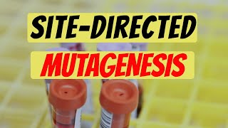 SiteDirected Mutagenesis Explained Genetic Engineering [upl. by Eittam]