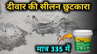 How To Repair damp wall Easily  Damp wall treatment  wall damp solution wall waterproofing [upl. by Keith]