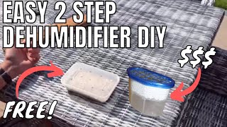 Quick amp Easy Dehumidifier DIY [upl. by Gault958]