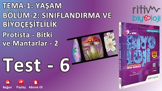 9SINIF SORU BANKASI TEMA1BÖLÜM  2 TEST  6  ProtistaMantarBitki2 [upl. by Ahsinyar]