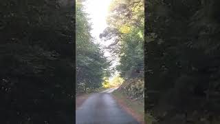 Driving down the Wicklow mountains in Ireland [upl. by Aidnac]