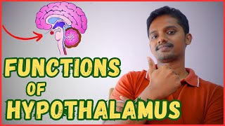 FUNCTIONS OF HYPOTHALAMUS IN TAMIL [upl. by Acirederf]